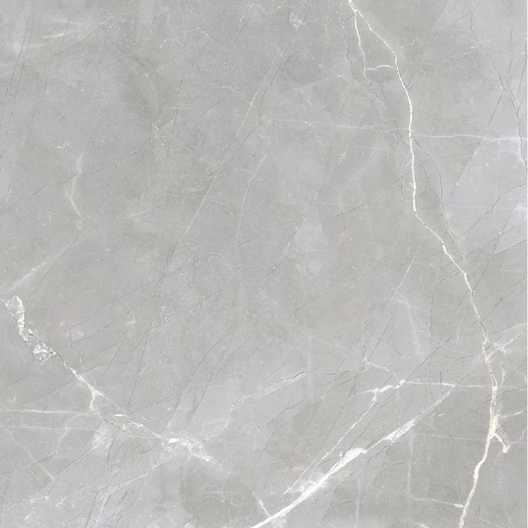 Luxury Amani Grey Polished 24 x 24